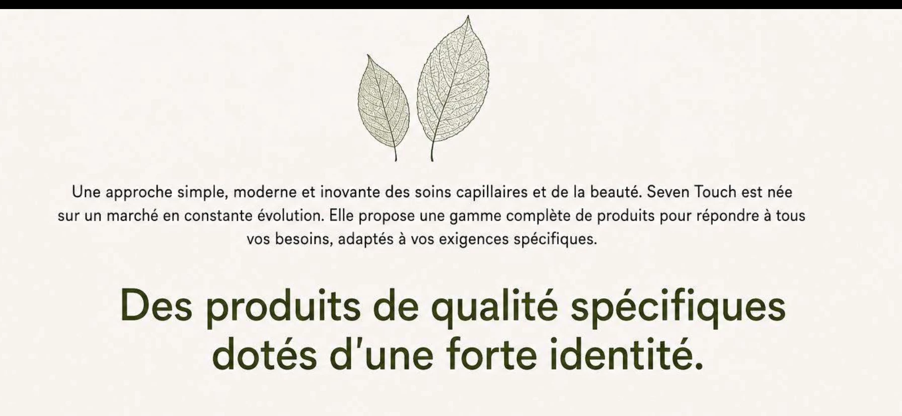 descriptif ST